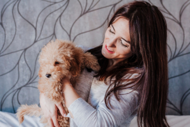 are poodles protective